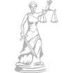 Criminal Litigation